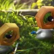 Meltan Cromato fa la sua momentanea apparizione su Pokémon GO