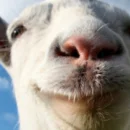 Trailer di lancio di Goat Simulator su PlayStation