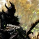 Pete Hines spiega perché The Elder Scrolls V: Skyrim Special Edition è un'eccezione nella line-up di Bethesda