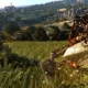 Trailer di lancio per Dying Light: The Following