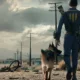 Fallout 4: Disponibile la patch 1.3 per PC