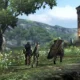 Nuove immagini per Dragon's Dogma Online