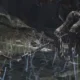 Trapelate in rete delle immagini di Dark Souls III con alcuni dettagli