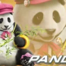 Annunciati Kuma e Panda per Tekken 7