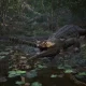 Metal Gear Solid: Delta Snake Eater - Konami esalta la nuova giungla del remake