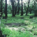 Addio P.T:  il Playable Teaser rimosso definitivamente