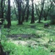 Addio P.T:  il Playable Teaser rimosso definitivamente