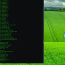 Codici sorgenti di windows xp diffusi nel web per oltre 10 giorni