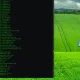 Codici sorgenti di windows xp diffusi nel web per oltre 10 giorni