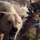 Ubisoft pizzicata da courtney craven per il testo di un personaggio ustionato in assassin's creed valhalla