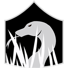 Serpente tra l'erba