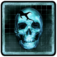 Killer fulmineo