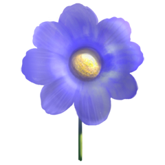Natura