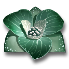 Scoperta