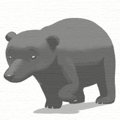 Non fare l'orso