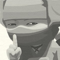 Assass... Ninja silenzioso