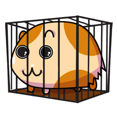 Cavia
