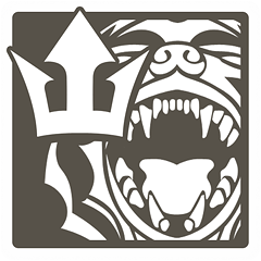 MG: Specialista in Raid