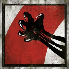Vendetta felina