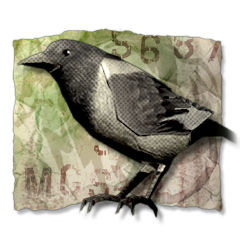 Ornitologo