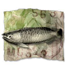 Pescatore