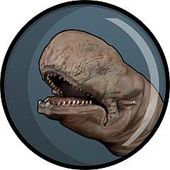 Questa non è una caverna