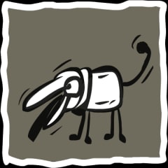 Pet catcher