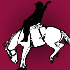 Il cowboy