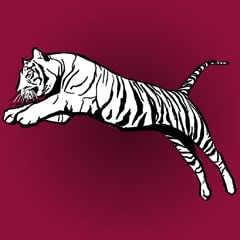 La tigre della velocità