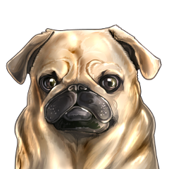 Carlino mon amour