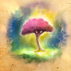 Cuore della Foresta