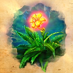 Botanico dell’anno