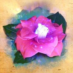 Amante della natura