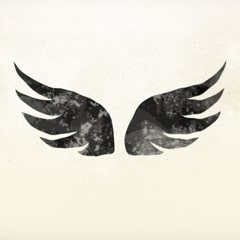 I Believe I Can Fly