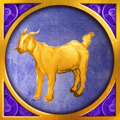 Amante degli animali