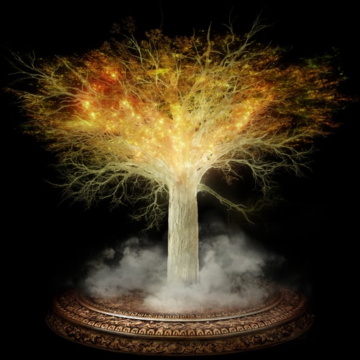 Albero Madre in fiamme