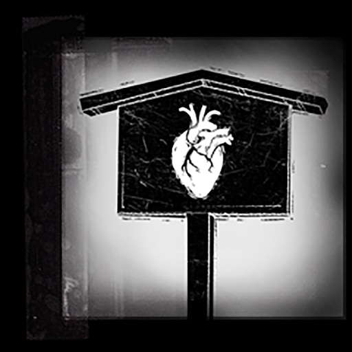 Segui il tuo cuore