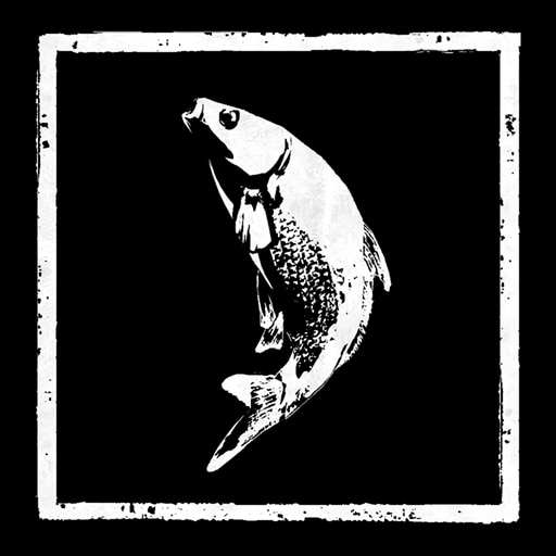 Pesca solitaria